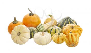 Mini Pumpkin collection Isolated on a White Background