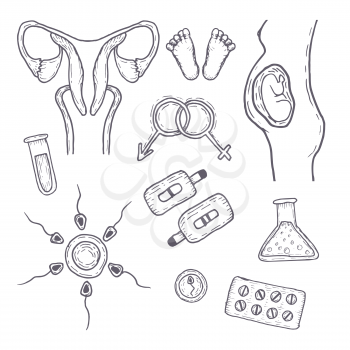 A set of icons on the theme of artificial insemination and pregnancy. Hand drawn vector