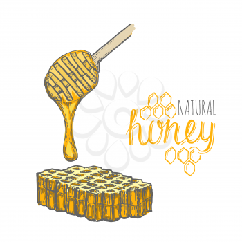 Hand drawn honey stick and honey comb over white background. Vector illustration