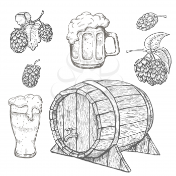 Sketches of hop plant, wood barrel and beer mugs. Beer illustration.