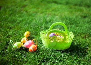 Easter Eggs with Basket on the Grass 