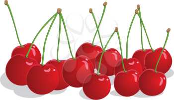 Royalty Free Clipart Image of Red Cherries