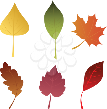 Royalty Free Clipart Image of Autumn Leaves