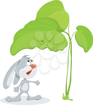 Royalty Free Clipart Image of a Rabbit Under a Big Leaf