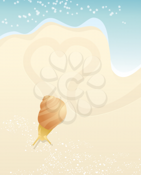 Snail and heart on the beach.
EPS10. Contains transparent objects used for speckles drawing