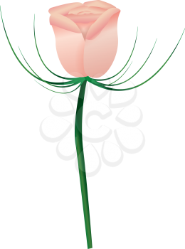 Royalty Free Clipart Image of a Rose Bud