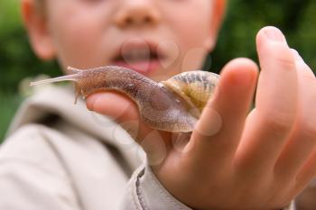 A young child playing with a snail