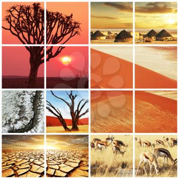 Royalty Free Photo of an African Landscape Collage