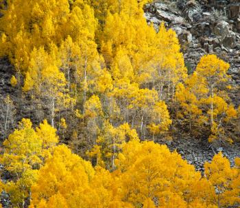 Royalty Free Photo of a Autumn in Sierra Nevada