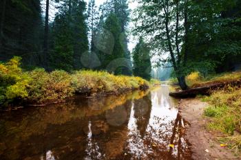 Royalty Free Photo of a Forest and River in Autumn