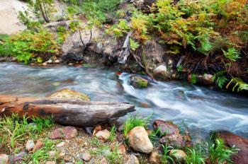 Royalty Free Photo of a Creek