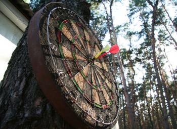 Royalty Free Photo of a Dartboard on a  Tree