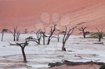 Royalty Free Photo of Dead Valley in Namibia