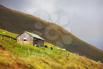 Royalty Free Photo of a Farm in the Faroe Islands