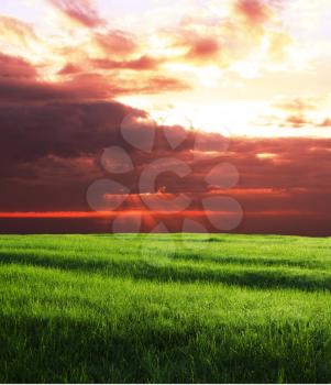 Royalty Free Photo of a Field at Sunset