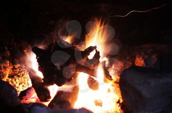Royalty Free Photo of a Campfire 