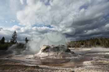 Royalty Free Photo of Castle Geyser in Yellowstone National Park