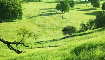 Royalty Free Photo of a Field and Hillside