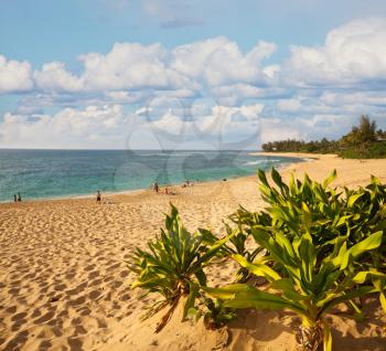 Royalty Free Photo of a Hawaiian Island Beach