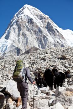 Royalty Free Photo of Backpackers at the Himalayan Mountains