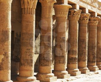 Royalty Free Photo of Columns in Luxor, Egypt