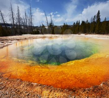 Royalty Free Photo of the Morning Glory Hot Spring Pool