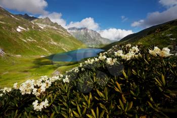 Royalty Free Photo of a Lake in the Caucasus Mountains