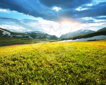 Royalty Free Photo of a Mountain Meadow at Sunrise