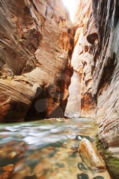 Royalty Free Photo of Virgin River Narrows in Zion National Park, Utah, USA