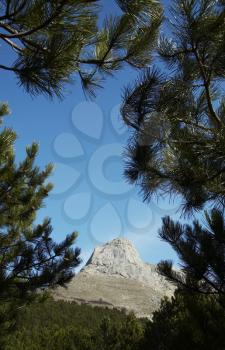 Royalty Free Photo of a Mountain and Pine Trees in Crimea