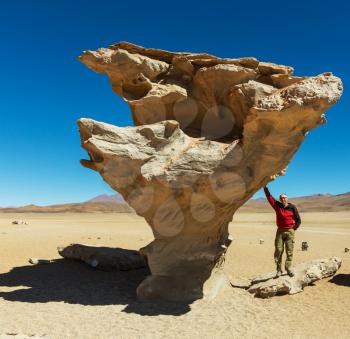 The Salvador Dali desert. Bolivia.