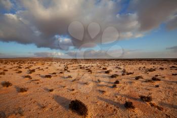 Western Sahara desert