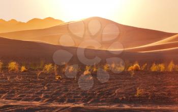 Scenic sand dunes in desert