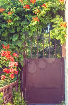 Gate in green garden in summer season