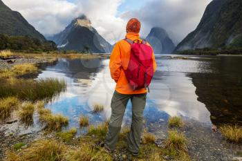 Amazing natural landscapes in Milford Sound, Fiordland National Park, New Zealand