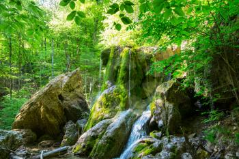 Waterfall in the beautiful green forest