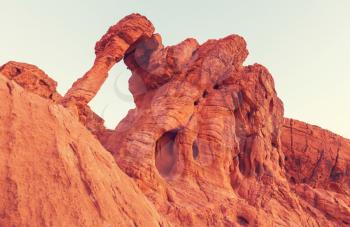 Elephant Rock in the Valley of Fire State park, Nevada, USA
