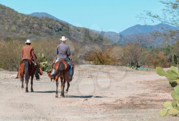 cowboys ride horses in the mountains of Mexico