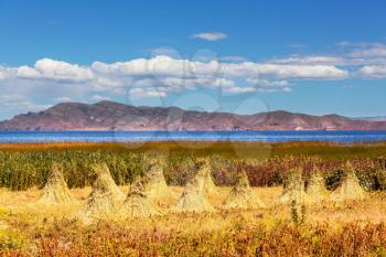 Titicaca Lake in Bolivia
