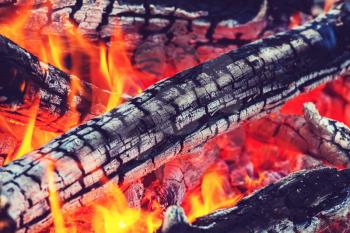 Campfire. Close up shot