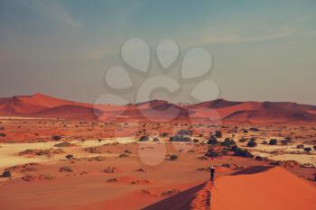 Sand dunes in Namib desert