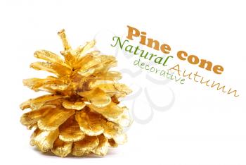 Royalty Free Photo of a Golden Pine Cone