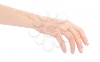 Royalty Free Photo of a Hand
