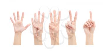 Royalty Free Photo of Counting Hands