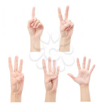 Counting woman hands (1 to 5) isolated on white background