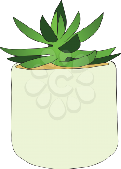 Hand drawn succulent flower in the pot. Vector illustration.