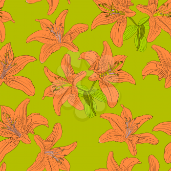 Royalty Free Clipart Image of a Lily Background