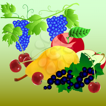 Royalty Free Clipart Image of a Bunch of Fruit