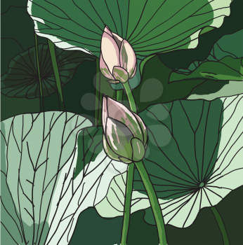 Royalty Free Clipart Image of a Lotus Flower