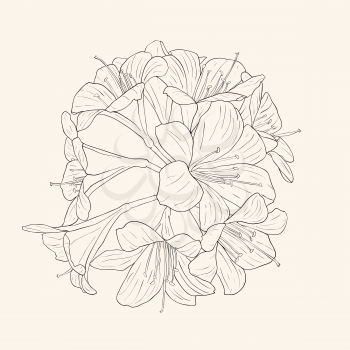 Royalty Free Clipart Image of a Bouquet of Lilies 